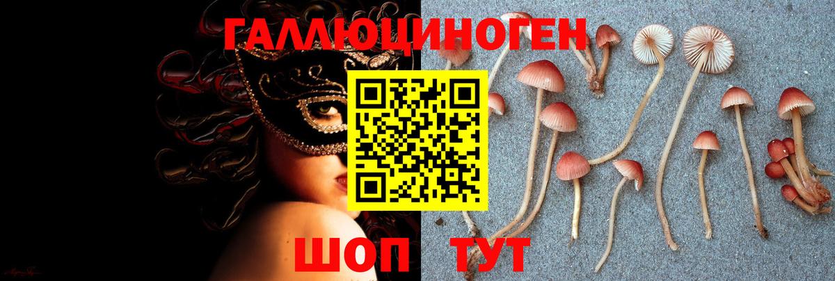 Галлюциногенные грибы прущие грибы Уфа